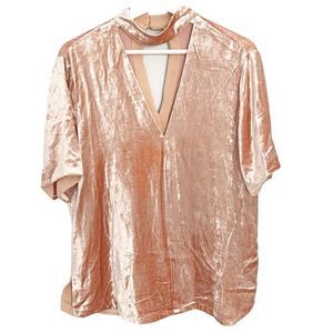 Revolve A.L.C. Blaise Blush Velvet Choker Blouse